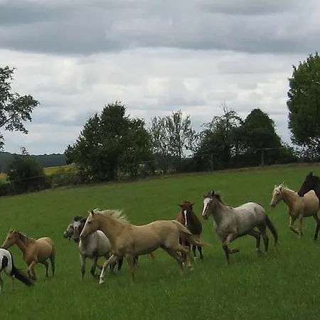 D'hotes De Charme Du Chateau De Missandre B&B Saint-Pierre-de-Caubel