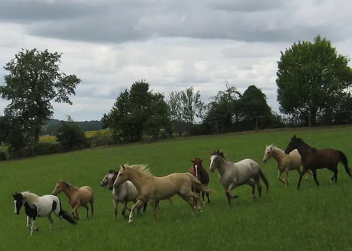 D'hotes De Charme Du Chateau De Missandre Bed and breakfast Saint-Pierre-de-Caubel